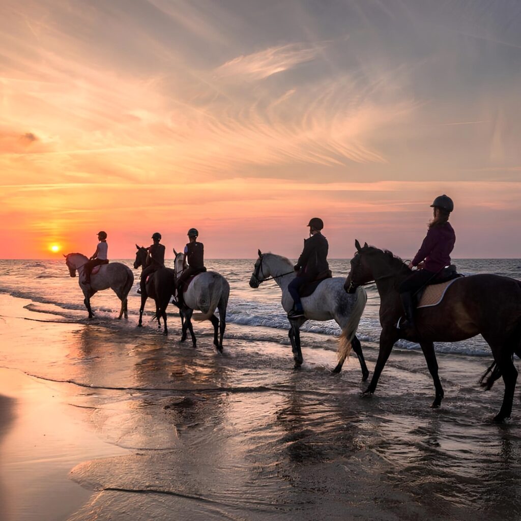 Horse Riding